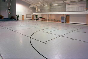 basketball court application