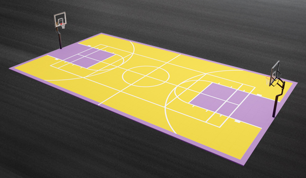 H9 Full Basketball + Net Sports