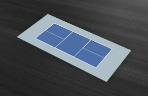 Pickleball Kit 2