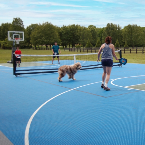 a family enjoying their home pickleball court
