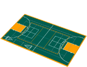 multi-sport game court