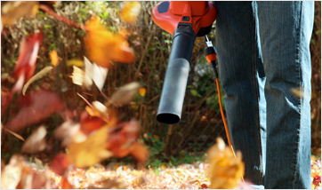 professional design assistance for customized courts