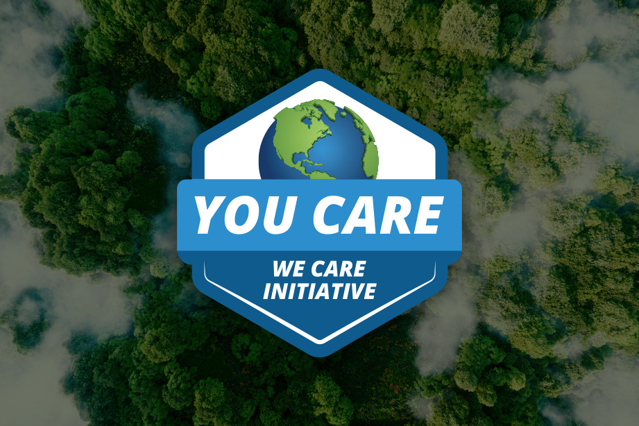 aerial view of forest