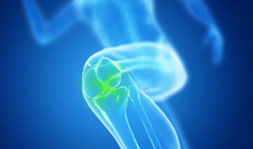 3D rendering of knee joint