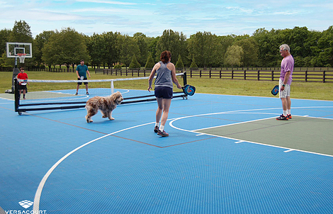 Pickleball Portable Court