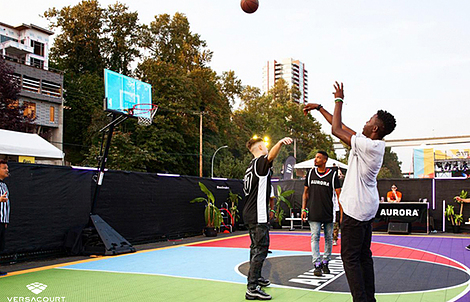 Basketball Portable Half Court